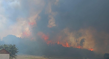 Ankara'da Orman Yangını! Ekiplerin Müdahaleleri Devam Ediyor