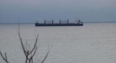 Arjantin’de Yük Gemisi Maymun Çiçeği Şüphesiyle Karantinaya Alındı