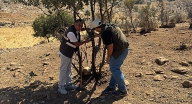 Batman'da Yaban Hayatı İzleme Projesi Başlatıldı
