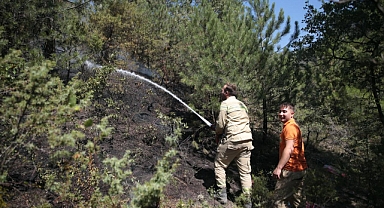 Göynük'teki Orman Yangını Kontrol Altına Alındı, Soğutma Çalışmaları Sürüyor