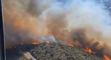 İzmir’de Orman Yangını! Ekipler Müdahale Ediyor