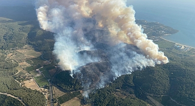 İzmir Menderes'te Orman Yangını Kontrol Altına Alındı