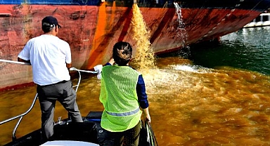 Mersin'de Denizi Kirleten Gemilere 15 Milyon Dolar Ceza