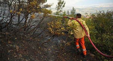 Osmangazi'deki Orman Yangını Kontrol Altına Alındı