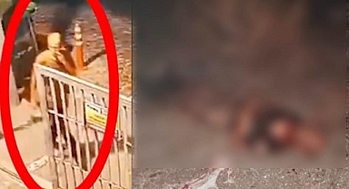 Türkiye’de Sokak Köpeği Saldırıları Artıyor: Çocuklar ve Yetişkinler Tehdit Altında