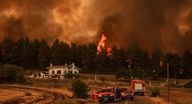 Yunanistan'da Şiddetli Yangınlar
