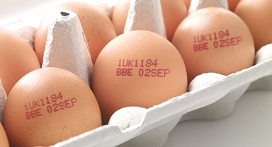 Bakanlıktan Yumurtaların Üzerindeki Sayılara Açıklama