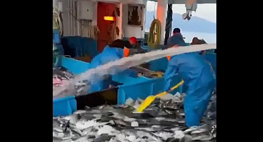 Balıkçılar İçin Umut Dolu İlk Gün: Palamut Ağları Doldurdu