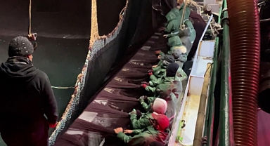 Balıkçılıkta Planlı Üretim Dönemi: Sürdürülebilirliğe Geçiş