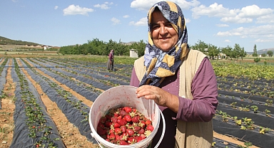 Hüyük Çileği, AB’den Tescil Alan 25. Türk Ürünü Oldu