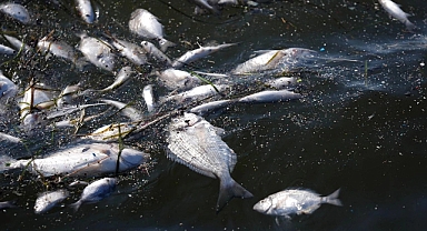 İzmir Büyükşehir Belediyesi İZSU Genel Müdürlüğü'ne Ceza
