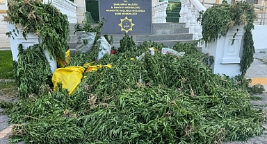 Şanlıurfa’da Uyuşturucuya Büyük Darbe: 6 Kişi Gözaltında