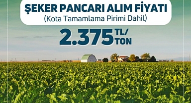 Şeker Pancarı Alım Fiyatı Açıklandı: Çiftçilerin Beklentileri Gerçekleşti