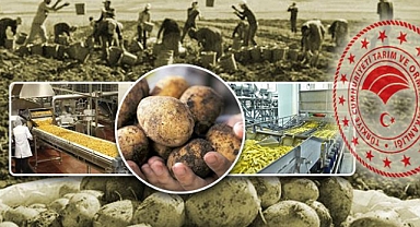 Tarım Bakanlığı'ndan Patates Seferberliği: 