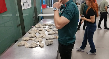 Yasadışı Tıbbi Sülük Ticareti Engellendi