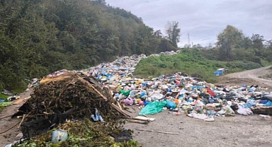 Bartın'da Çöp Dökümü Yüzünden 6,4 Milyon TL Ceza Kesildi