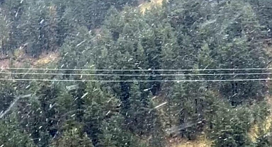 Bolu’da Kışın İlk Müjdesi: Kar Yağışı Başladı