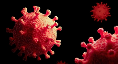 Sağlık Bakanı Kemal Memişoğlu’ndan Covid-19 Açıklaması