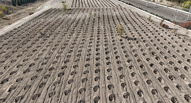 Türkiye Yeşil Vatan'da Avrupa lideri oldu