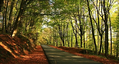 Belgrad Ormanı imar iddiaları asılsız çıktı!