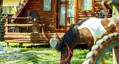 Çanakkale’nin huzur dolu köyü: Kızılkeçili