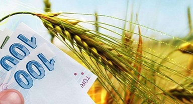 Üreticilere 2,3 milyar lira destekleme ödemesi