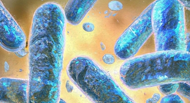 Bilim insanları hücresel yaşlanmayı kontrol eden proteini keşfetti!