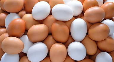Yumurta fiyatlarındaki artışın sebepleri ve alınan önlemler