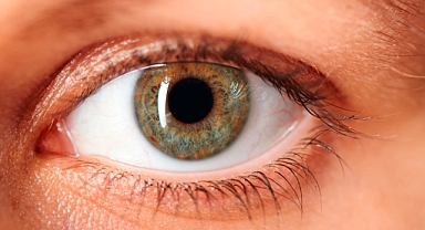 Görme kaybına umut: Kalıcı retina onarımı müjdesi!