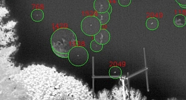 Yapay zekâ gözünü gökyüzüne dikti: Uzaylı avı başladı