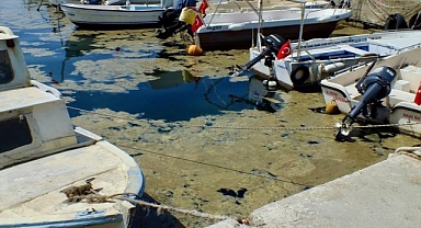 Bakan Kurum’dan müsilaj uyarısı