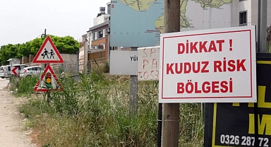 Hatay'ın Samandağ ilçesinde kuduz vakası!
