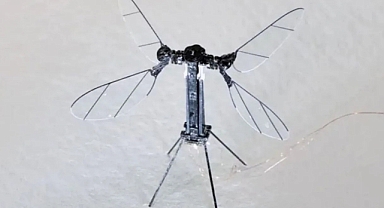 Sivrisinek boyutunda 