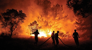 39 şüpheli gözaltına alındı!