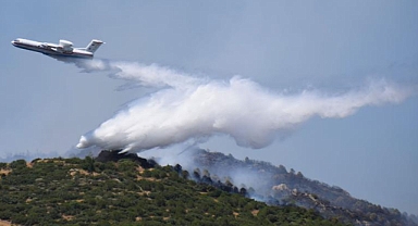 761 yangının tamamı kontrol altına alındı