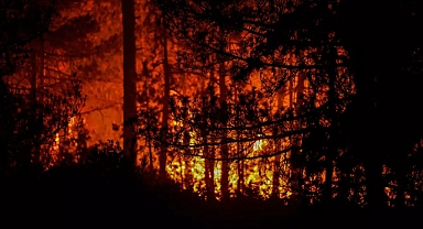 Alevlerle mücadele sürüyor