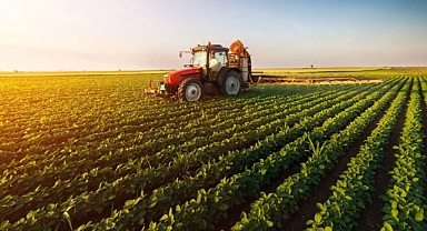 Tarımsal hasılada tarihi rekor kırıldı!