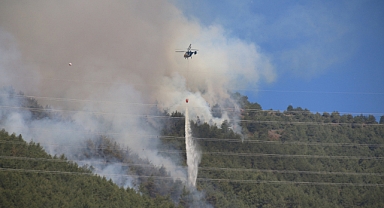 Türkiye 5 günde 342 yangınla sarsıldı