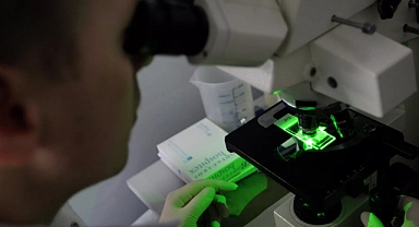 Meksika’da et yiyen parazit vakaları bir ayda yüzde 53 arttı