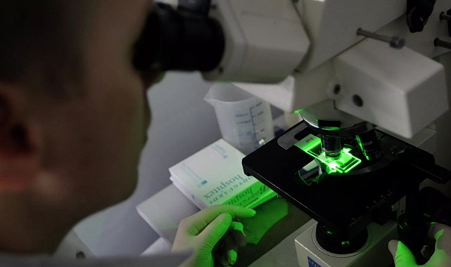 Meksika’da et yiyen parazit vakaları bir ayda yüzde 53 arttı