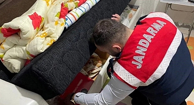 MİT’ten kişisel verileri hedef alan şebekeye operasyon