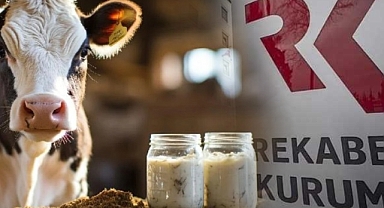 Rekabet Kurumu'ndan 39 süt şirketine soruşturma!