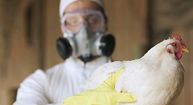 DSÖ’den uyarı: H5N1 kuş gribi yeni bir pandemiye neden olabilir