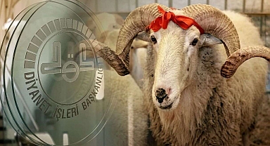Vekaletle kurban kesim bedelleri açıklandı: Yurt içi ve yurt dışı tarifesi belli oldu