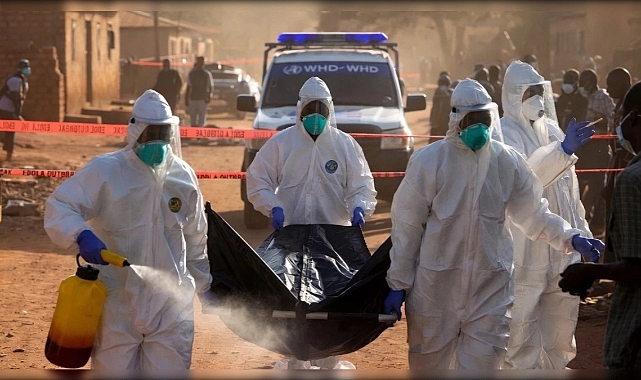 Afrika'da Ebola Alarmı: DSÖ'den küresel acil durum kararı